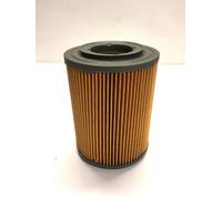 Filtro Aria champion W259 per Piaggio Porter pick up 0.9 Benzina