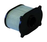 Filtro aria Champion Y334 Cagiva Raptor 650cc 2000/2005 Champion 100604815