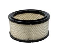 Filtro Aria Compatibile Con FIAC V 30 OLD RA2276