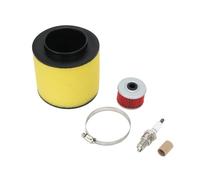 Filtro Aria Di Set Di Filtri Aria Per Motociclette, Aspirazione Più Pulita Per TRX Per TRX200 Per TRX250 Per TRX300 Per TRX400 Per TRX450 200 250 300 400 450