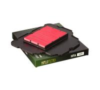 Filtro aria dialta qualità HIFLOFILTRO HFA1609