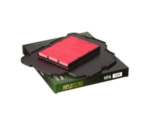 Filtro aria dialta qualità HIFLOFILTRO HFA1609