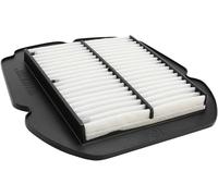 Filtro aria dialta qualità HIFLOFILTRO HFA3618