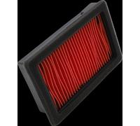 Filtro aria dialta qualità ricambio OEM HIFLOFILTRO HFA4613