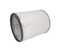 Filtro aria DONALDSON P181118