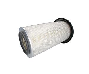 Filtro aria DONALDSON P772507