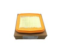 Filtro Aria Ducati Per Superbike 899/1199, Multistrada 950 42610341B