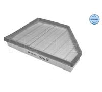 Filtro aria Dx per BMW X5