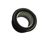 Filtro aria EC08 adatto for la sostituzione del filtro dell'aria del decespugliatore EC08 EC10(1 X Air filter)