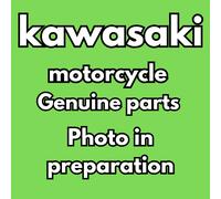 Filtro aria elemento originale Kawasaki 110131301, parte nuova 11013-1301 OEM