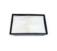 Filtro Aria per Dodge RAM 1500 2500 3500 2002-2010 RAM 2011-2018