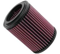 K&N E-2429 Filtri Aria Sostitutivi Auto, Lavabile e Riutilizzabile