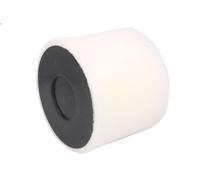 Filtro aria FILTRON AK 376/4 per AUDI A5 (F53, F5P) 3 2016-2018