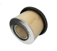 Filtro aria FILTRON AM 425 per MERCEDES-BENZ NG 5.96 1982-199