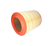 Filtro aria FILTRON AM 442/9