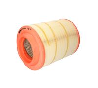 Filtro aria FILTRON AM 446/6