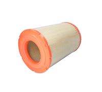 Filtro aria FILTRON AM 471/3
