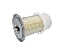 Filtro aria FILTRON AM419/3