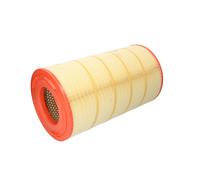Filtro aria FILTRON AM462/1