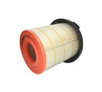 Filtro aria FILTRON AM465/3