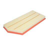 Filtro aria FILTRON AP 035/9