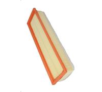 Filtro aria FILTRON AP058/6