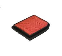 Filtro aria FILTRON AP 103