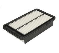 Filtro aria FILTRON AP 103/6