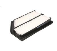 Filtro aria FILTRON AP104/8