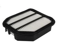 Filtro aria FILTRON AP 106/8