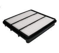 Filtro aria FILTRON AP 109/6 per CHEVROLET EVANDA 2 2005-2006