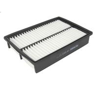 Filtro aria FILTRON AP113/2
