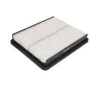 Filtro aria FILTRON AP 114/1