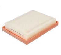 Filtro aria FILTRON AP 124/8 per RENAULT AUSTRAL 1.2 2022-