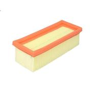 Filtro aria FILTRON AP133/2