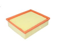 Filtro aria FILTRON AP135/2