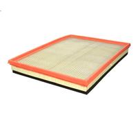 Filtro aria FILTRON AP 137/8 per MASCOTT Furgone 3 2004-201