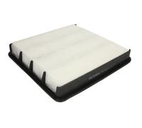 Filtro aria FILTRON AP 143/6
