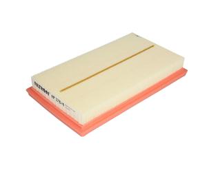 Filtro aria FILTRON AP 178/4