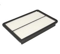 Filtro aria FILTRON AP 197/1 per HYUNDAI SANTA FÉ III (DM, DMA) 2 2012-2018