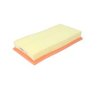 Filtro aria FILTRON AP003/1