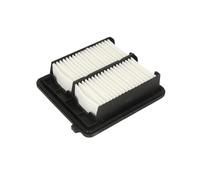 Filtro aria FILTRON AP105/4