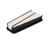 Filtro aria FILTRON AP166/1