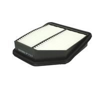 Filtro aria FILTRON AP173/3