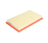 Filtro aria FILTRON AP173/4