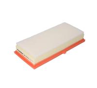 Filtro aria FILTRON AP178/2