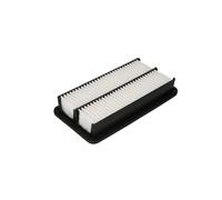Filtro aria FILTRON AP182/8