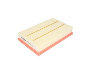Filtro aria FILTRON AP183/6