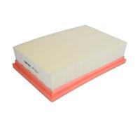 Filtro aria FILTRON AP193/3