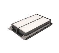 Filtro aria FILTRON AP197/3